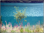 foto Lago di Anterselva